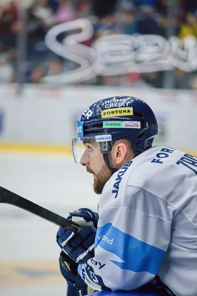 BTL – Hradec Králové, 23. 11. 2025