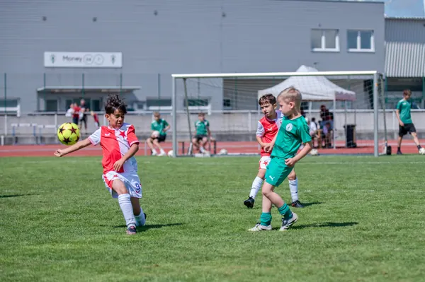 JUNIOR NORTH CUP MICRO 2026, 6. 6. 2026