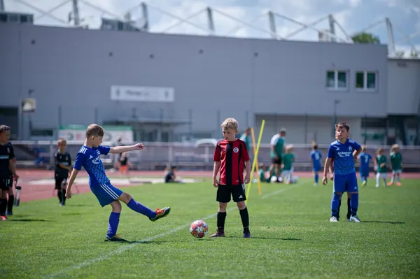 JUNIOR NORTH CUP MICRO 2026, 6. 6. 2026