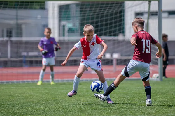 JUNIOR NORTH CUP MICRO 2026, 6. 6. 2026