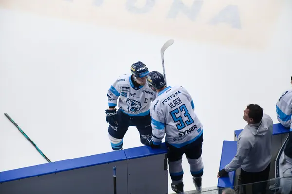 BTL – Dresden, 19. 2. 2026