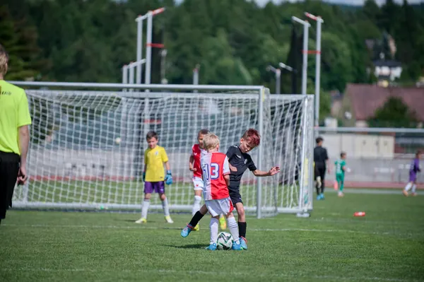 JUNIOR NORTH CUP MICRO 2026, 6. 6. 2026