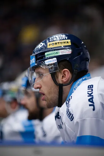BTL – Litvínov, 18. 1. 2026