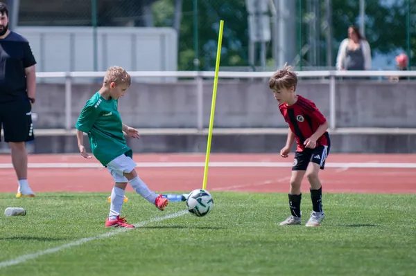 JUNIOR NORTH CUP MICRO 2026, 6. 6. 2026