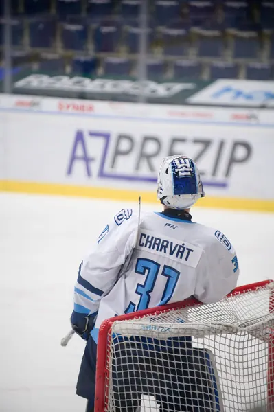 U20: BTL – Pardubice, 24. 1. 2026