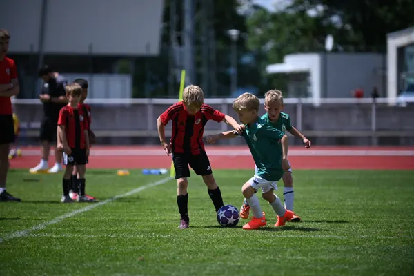 U8 TURNAJ, 6. 6. 2026