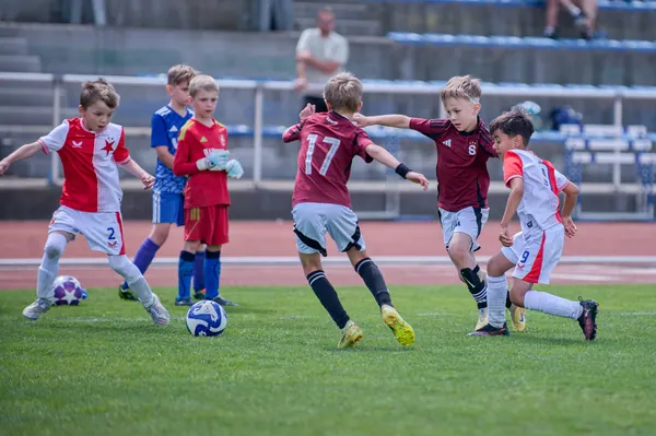 JUNIOR NORTH CUP MICRO 2026, 6. 6. 2026