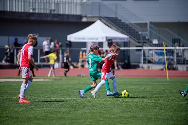 JUNIOR NORTH CUP MICRO 2026, 6. 6. 2026