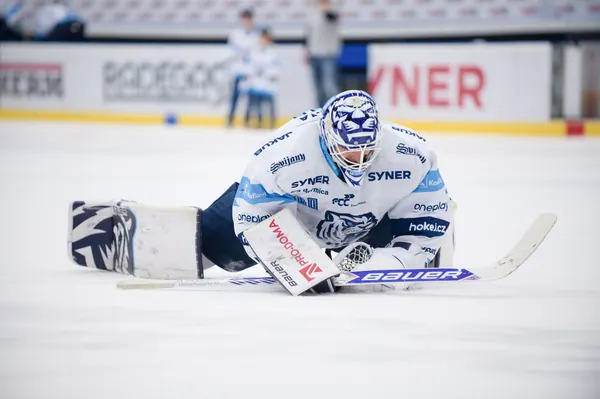 BTL – Litvínov, 18. 1. 2026
