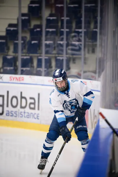 U20: BTL – Pardubice, 24. 1. 2026