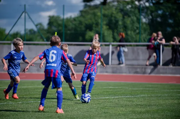 JUNIOR NORTH CUP MICRO 2026, 6. 6. 2026