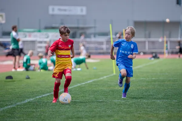 JUNIOR NORTH CUP MICRO 2026, 6. 6. 2026