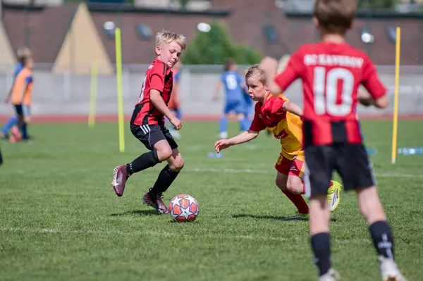 JUNIOR NORTH CUP MICRO 2026, 6. 6. 2026