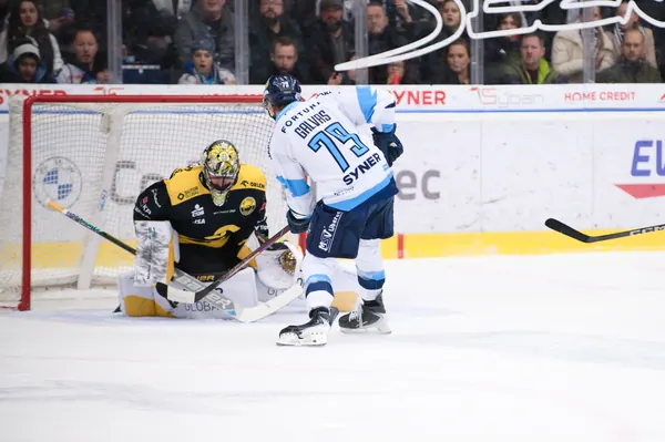 BTL – Litvínov, 18. 1. 2026