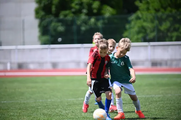 U8 TURNAJ, 6. 6. 2026