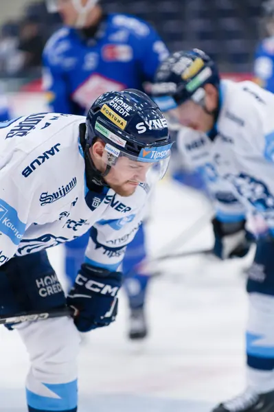 BTL – Dresden, 19. 2. 2026