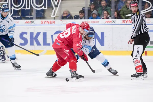 BTL – Třinec, 16. 1. 2026