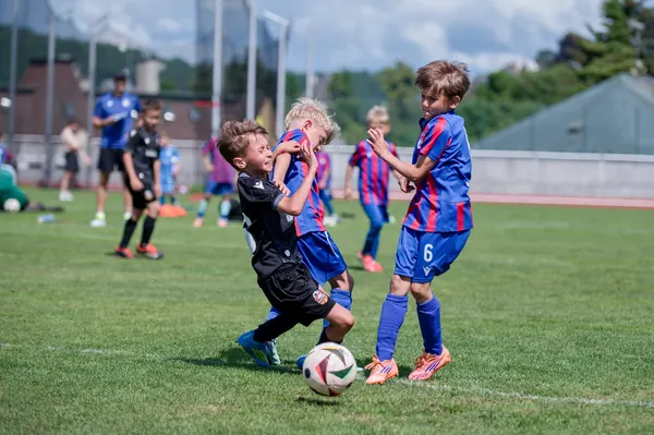 JUNIOR NORTH CUP MICRO 2026, 6. 6. 2026