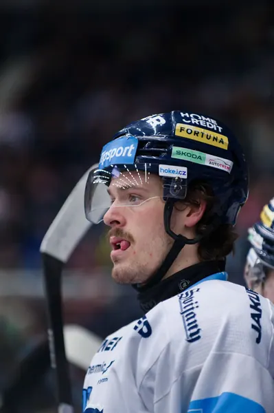 BTL – Dresden, 19. 2. 2026