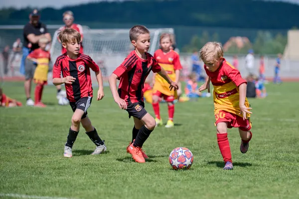 JUNIOR NORTH CUP MICRO 2026, 6. 6. 2026