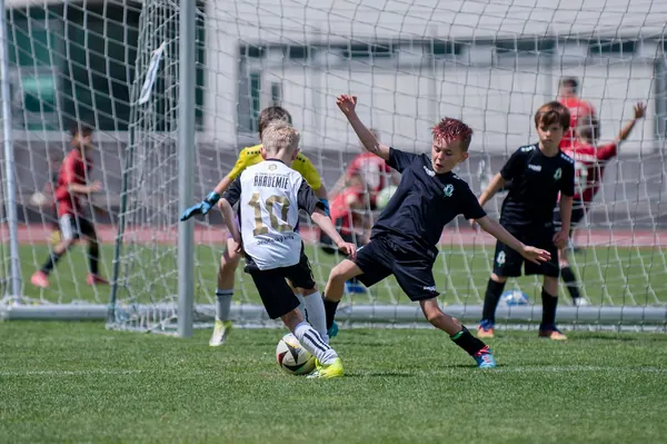 JUNIOR NORTH CUP MICRO 2026, 6. 6. 2026