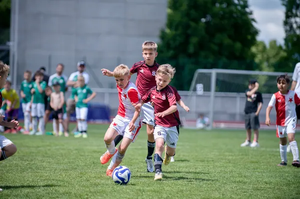 JUNIOR NORTH CUP MICRO 2026, 6. 6. 2026