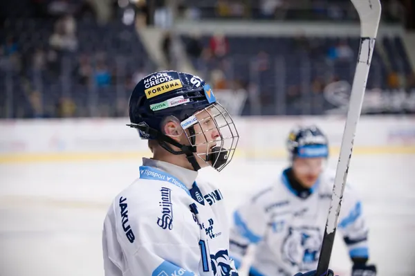 BTL – Litvínov, 18. 1. 2026