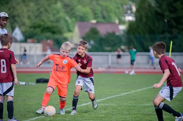 JUNIOR NORTH CUP MICRO 2026, 6. 6. 2026