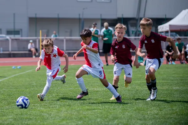 JUNIOR NORTH CUP MICRO 2026, 6. 6. 2026