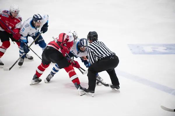 U20: BTL – Pardubice, 24. 1. 2026