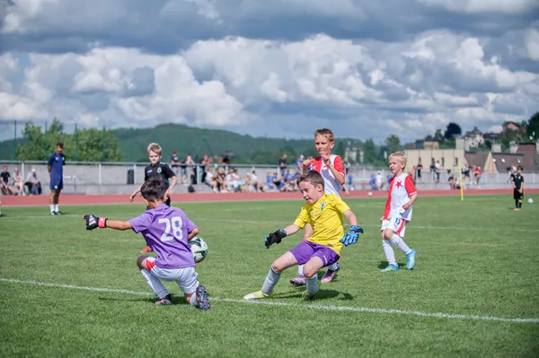 JUNIOR NORTH CUP MICRO 2026, 6. 6. 2026