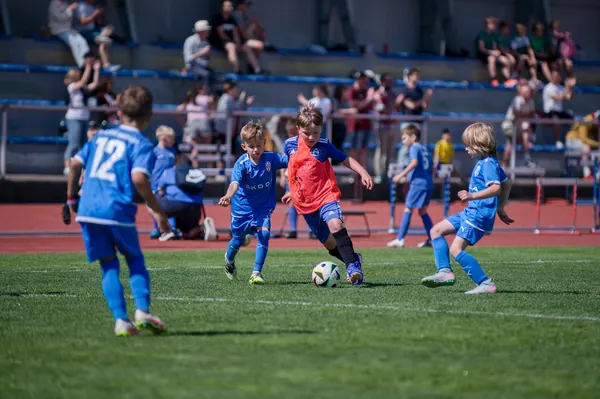 JUNIOR NORTH CUP MICRO 2026, 6. 6. 2026
