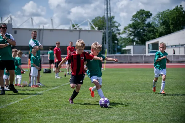 JUNIOR NORTH CUP MICRO 2026, 6. 6. 2026