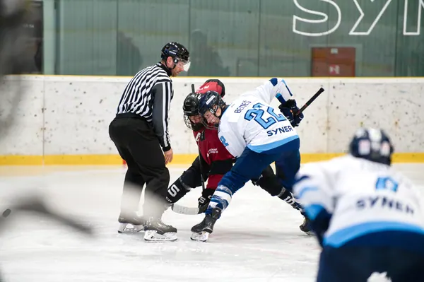 U17: BTL – Sparta Praha, 29. 3. 2026