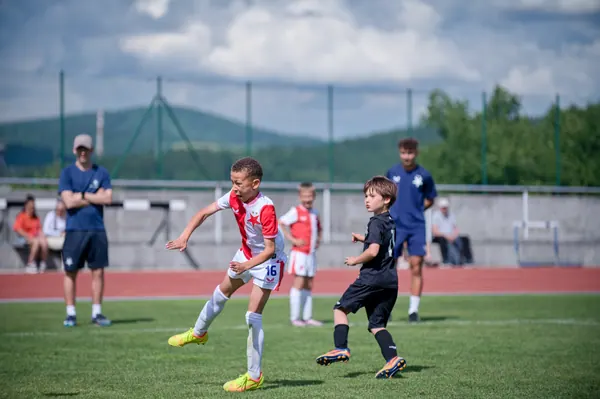 JUNIOR NORTH CUP MICRO 2026, 6. 6. 2026