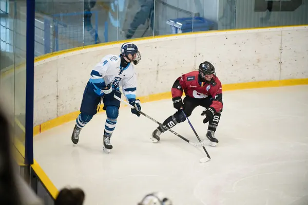 U17: BTL – Sparta Praha, 29. 3. 2026