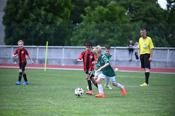 U8 TURNAJ, 6. 6. 2026