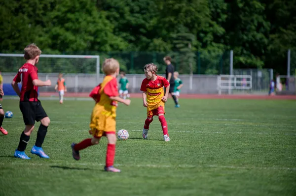 JUNIOR NORTH CUP MICRO 2026, 6. 6. 2026