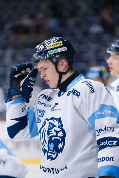 BTL – Dresden, 19. 2. 2026