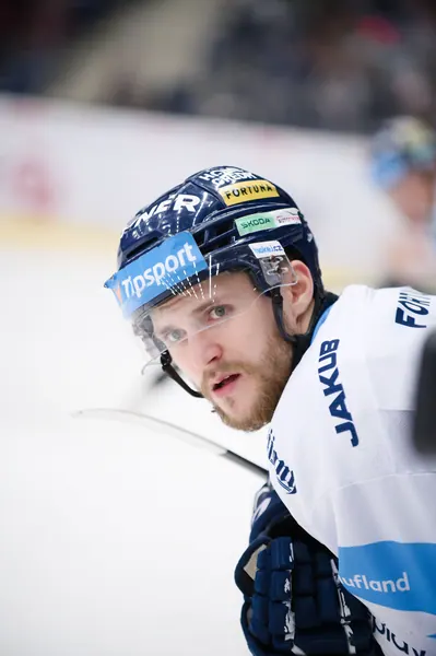 BTL – Litvínov, 18. 1. 2026