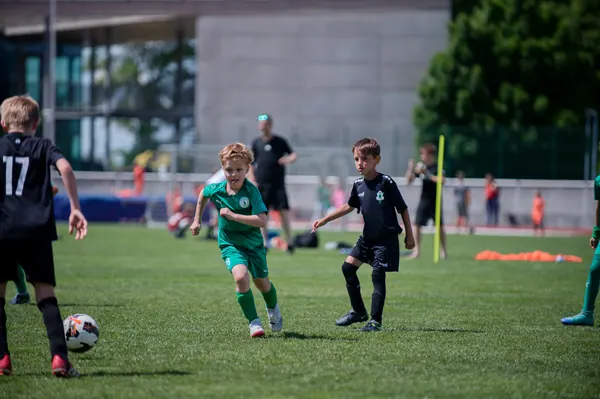 JUNIOR NORTH CUP MICRO 2026, 6. 6. 2026