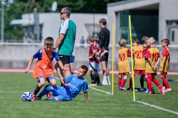 JUNIOR NORTH CUP MICRO 2026, 6. 6. 2026