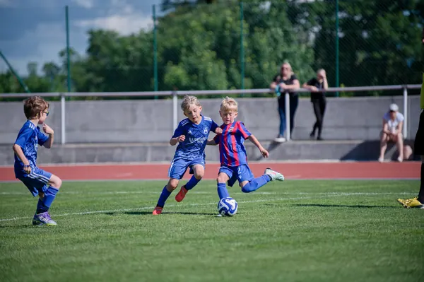 JUNIOR NORTH CUP MICRO 2026, 6. 6. 2026