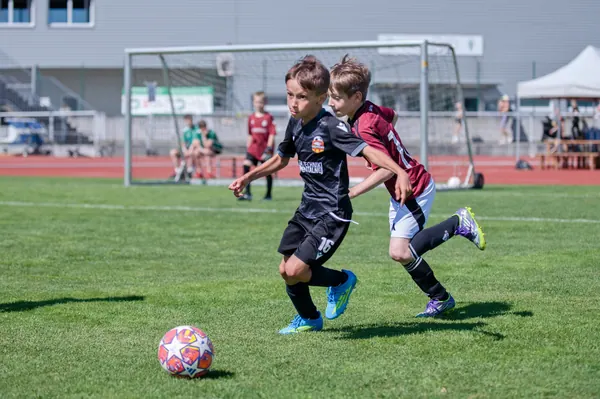 JUNIOR NORTH CUP MICRO 2026, 6. 6. 2026
