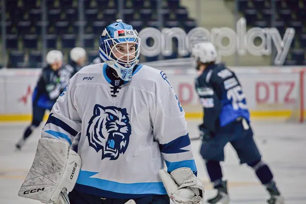 U20: BTL – Plzeň, 22. 11. 2025