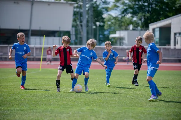 JUNIOR NORTH CUP MICRO 2026, 6. 6. 2026
