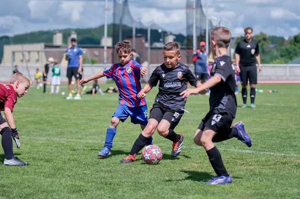JUNIOR NORTH CUP MICRO 2026, 6. 6. 2026