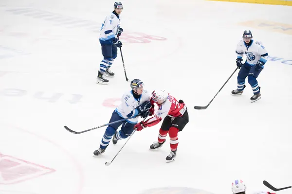 U20: BTL – Pardubice, 24. 1. 2026