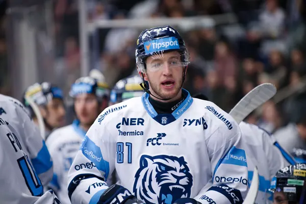 BTL – Mladá Boleslav, 30. 12. 2025