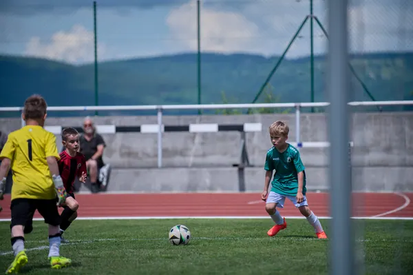 JUNIOR NORTH CUP MICRO 2026, 6. 6. 2026